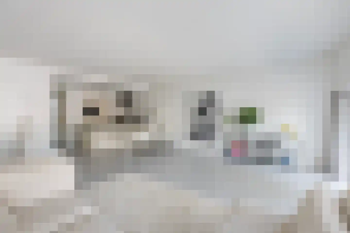 Vechtstraat 12 Zwolle thumbnail 11