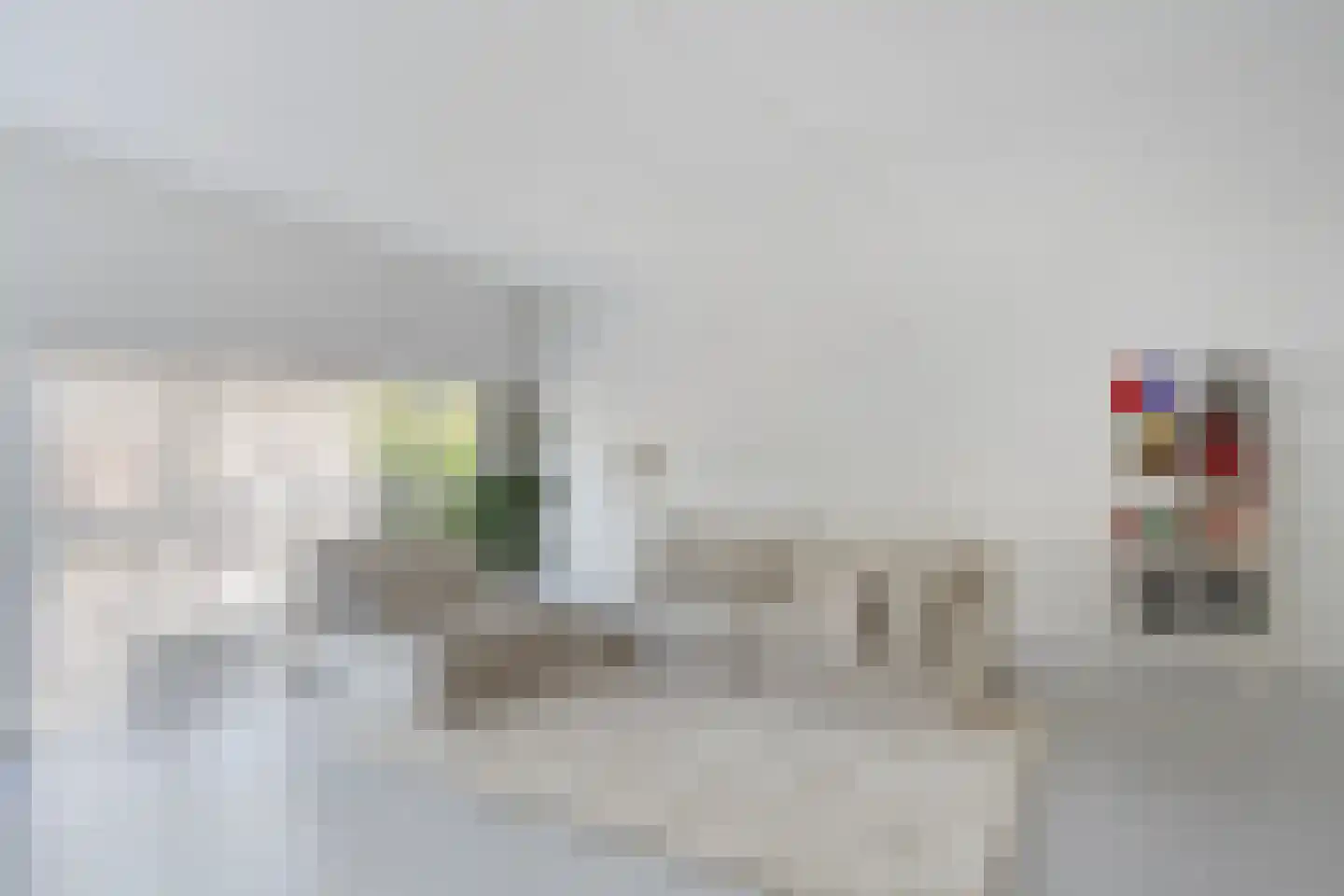 Vechtstraat 12 Zwolle thumbnail 13