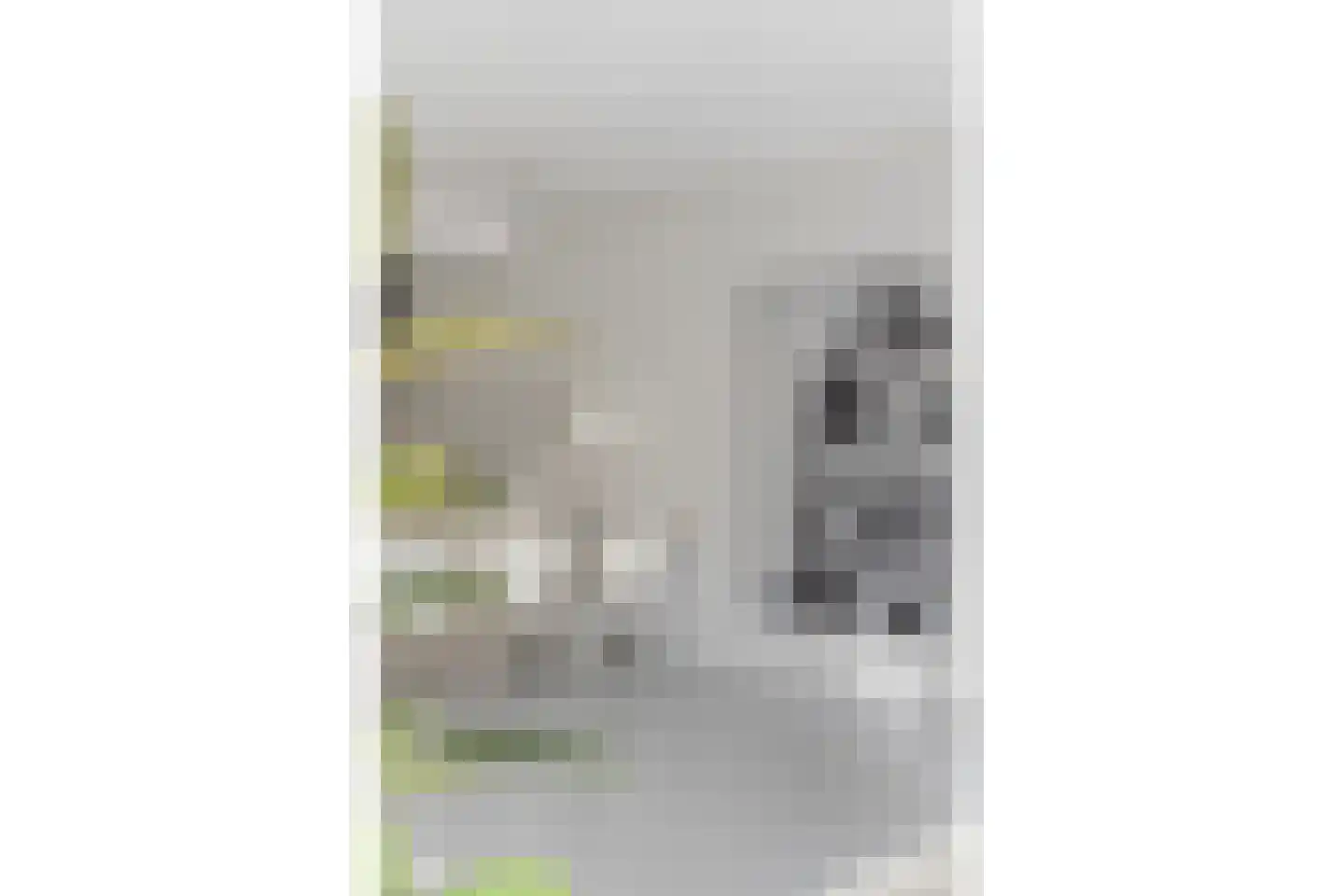 Vechtstraat 12 Zwolle thumbnail 17