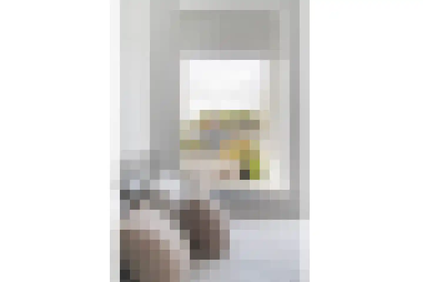 Vechtstraat 12 Zwolle thumbnail 22