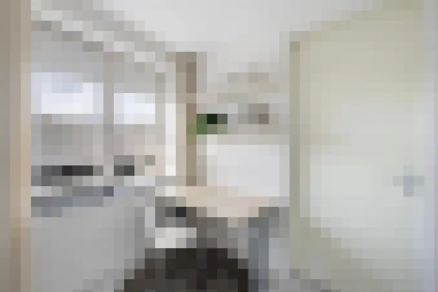 Vechtstraat 12 Zwolle thumbnail 23