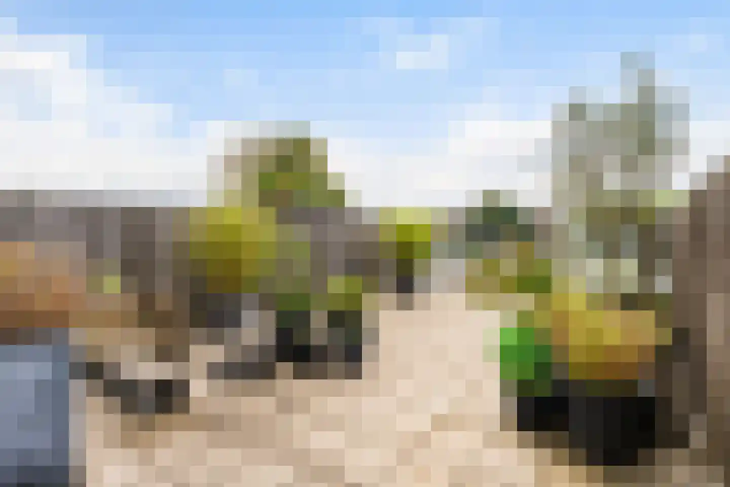 Vechtstraat 12 Zwolle thumbnail 6