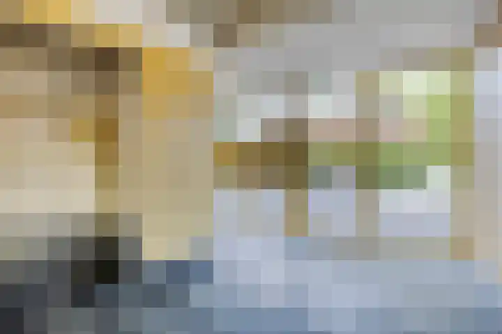 Vechtstraat 132 Groningen thumbnail 14