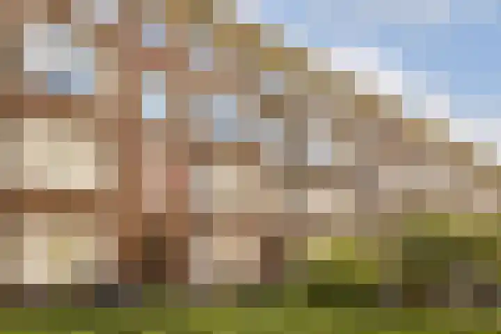 Vechtstraat 135 1 Amsterdam thumbnail 20