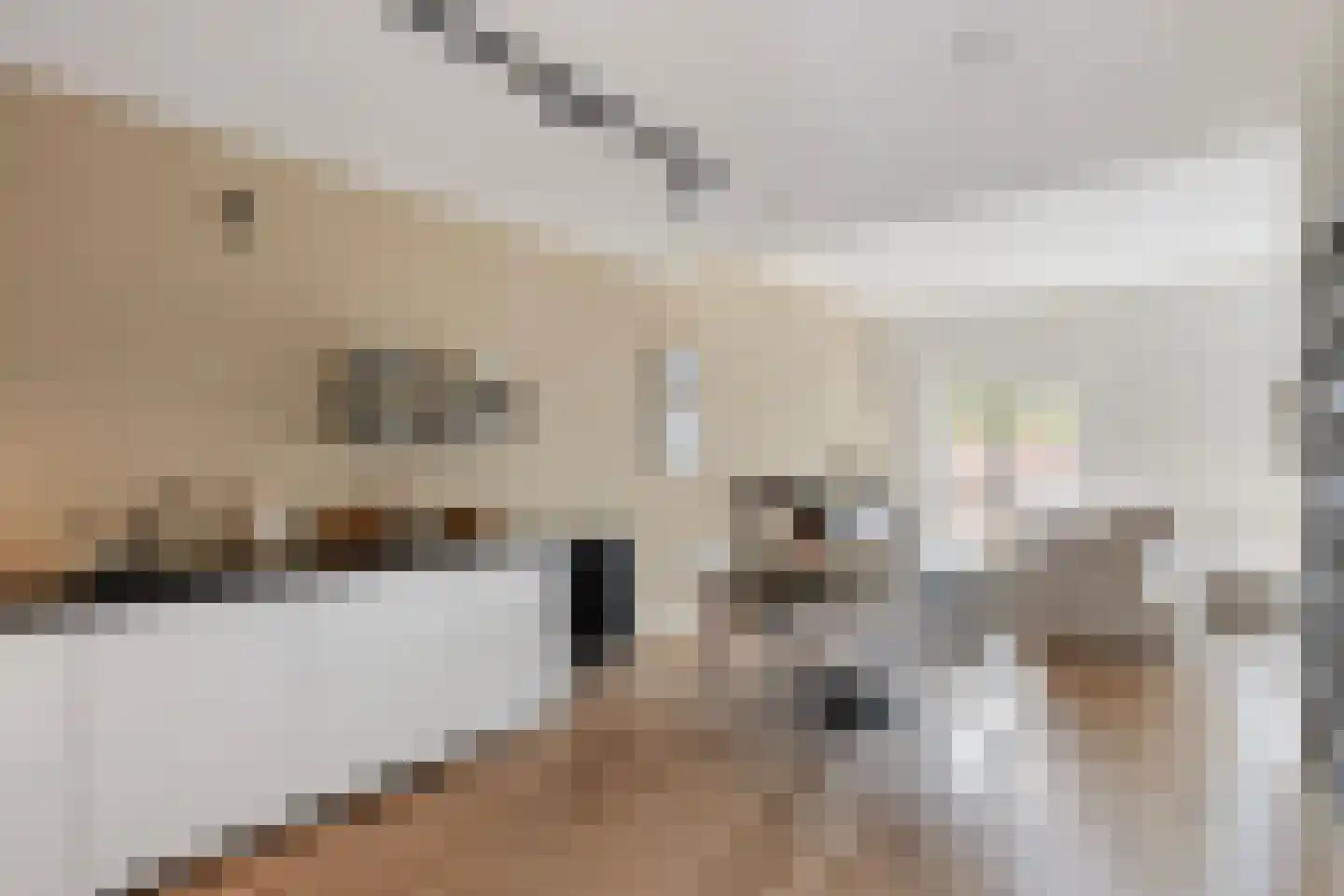 Vechtstraat 14 Zwolle thumbnail 8