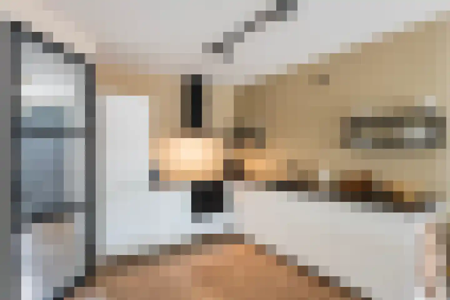 Vechtstraat 14 Zwolle thumbnail 9