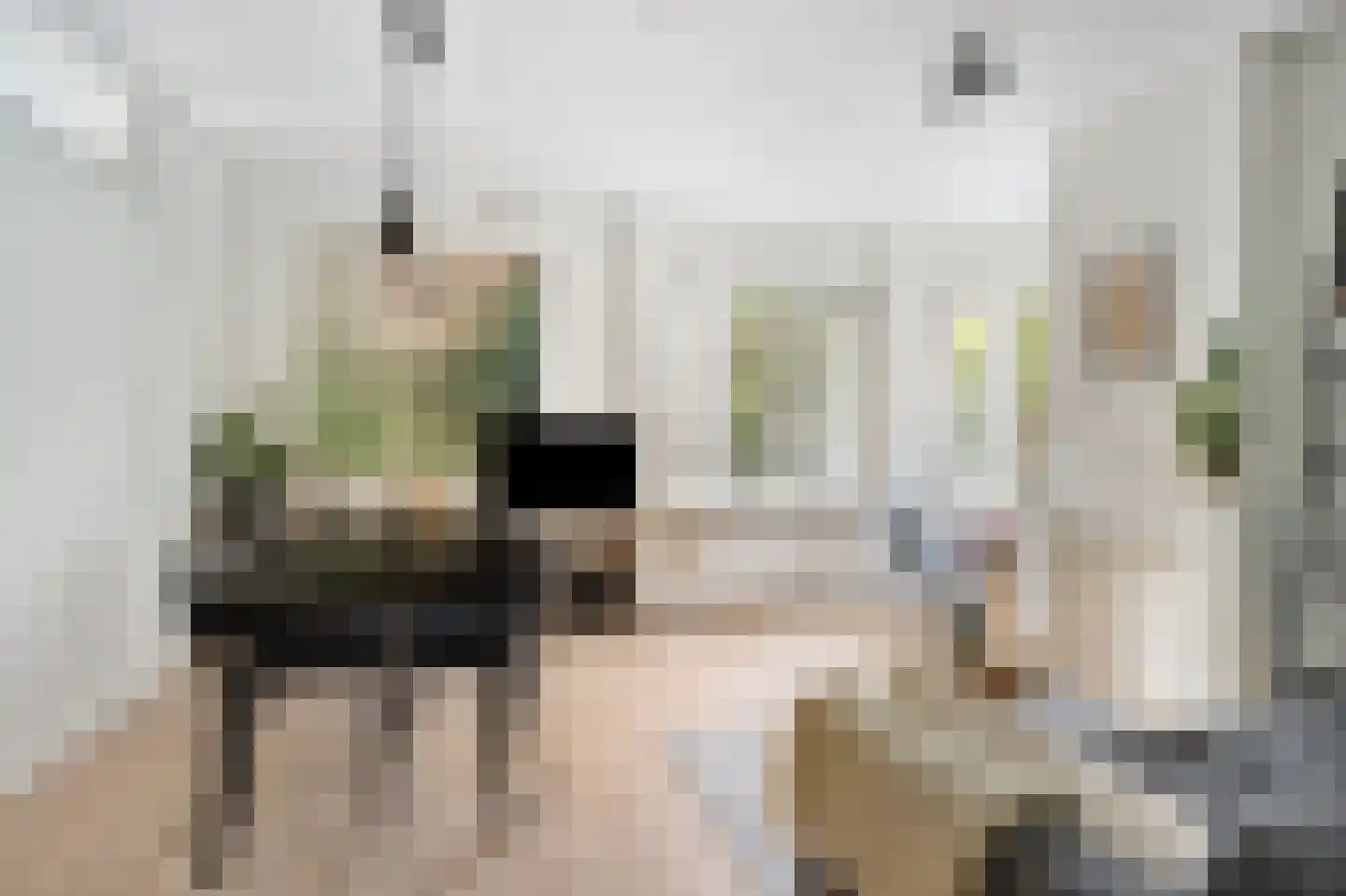 Vechtstraat 15 1 Amsterdam thumbnail 10
