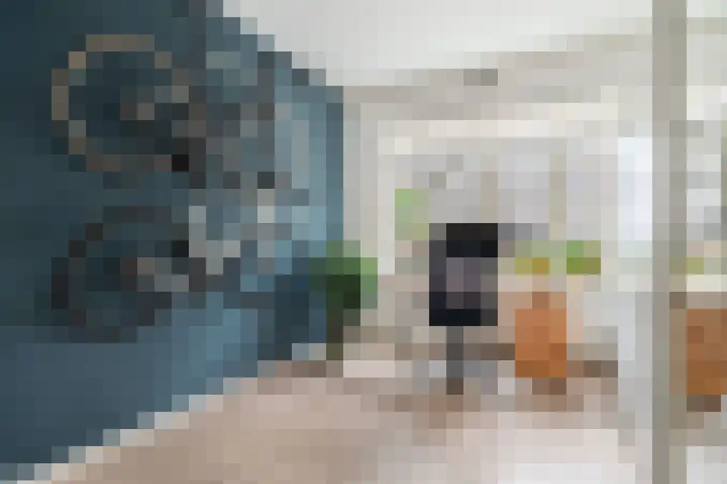 Vechtstraat 15 1 Amsterdam thumbnail 15