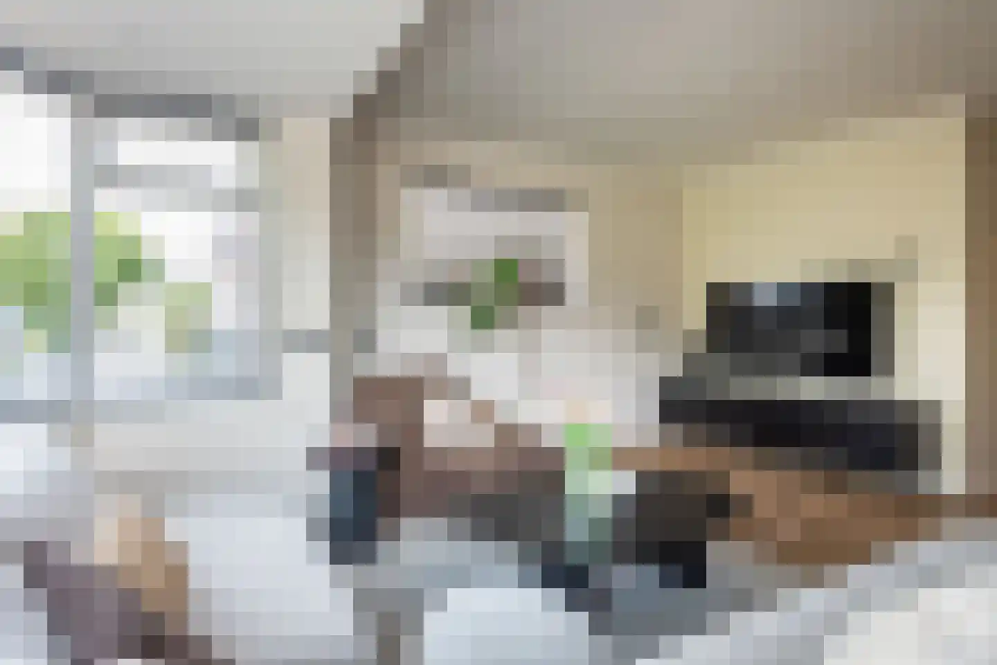 Vechtstraat 15 Ulft thumbnail 12
