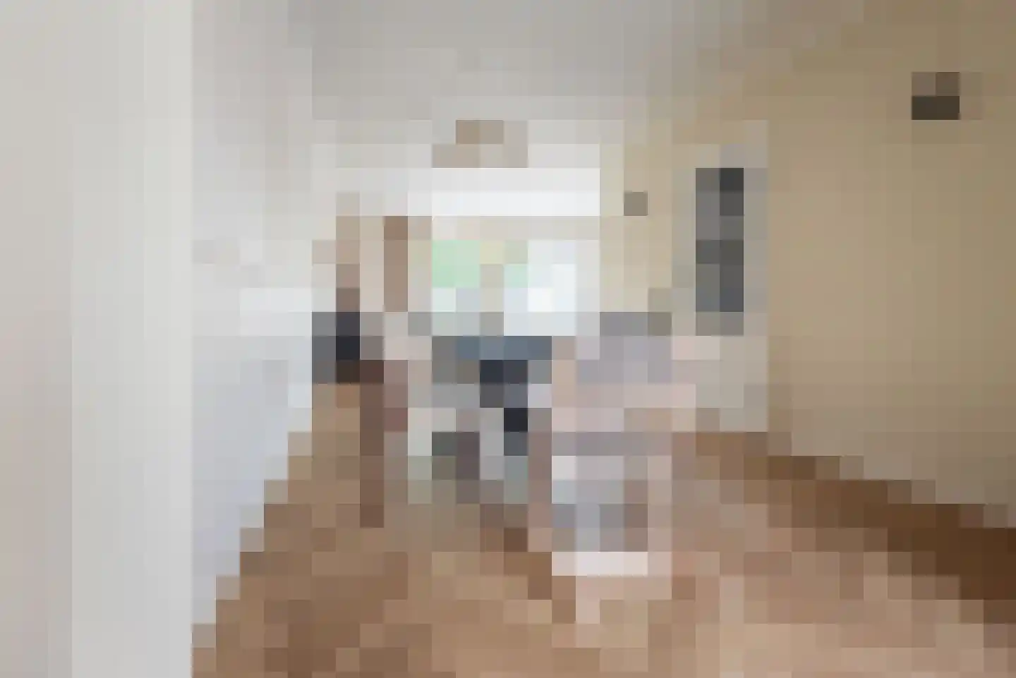 Vechtstraat 15 Ulft thumbnail 13