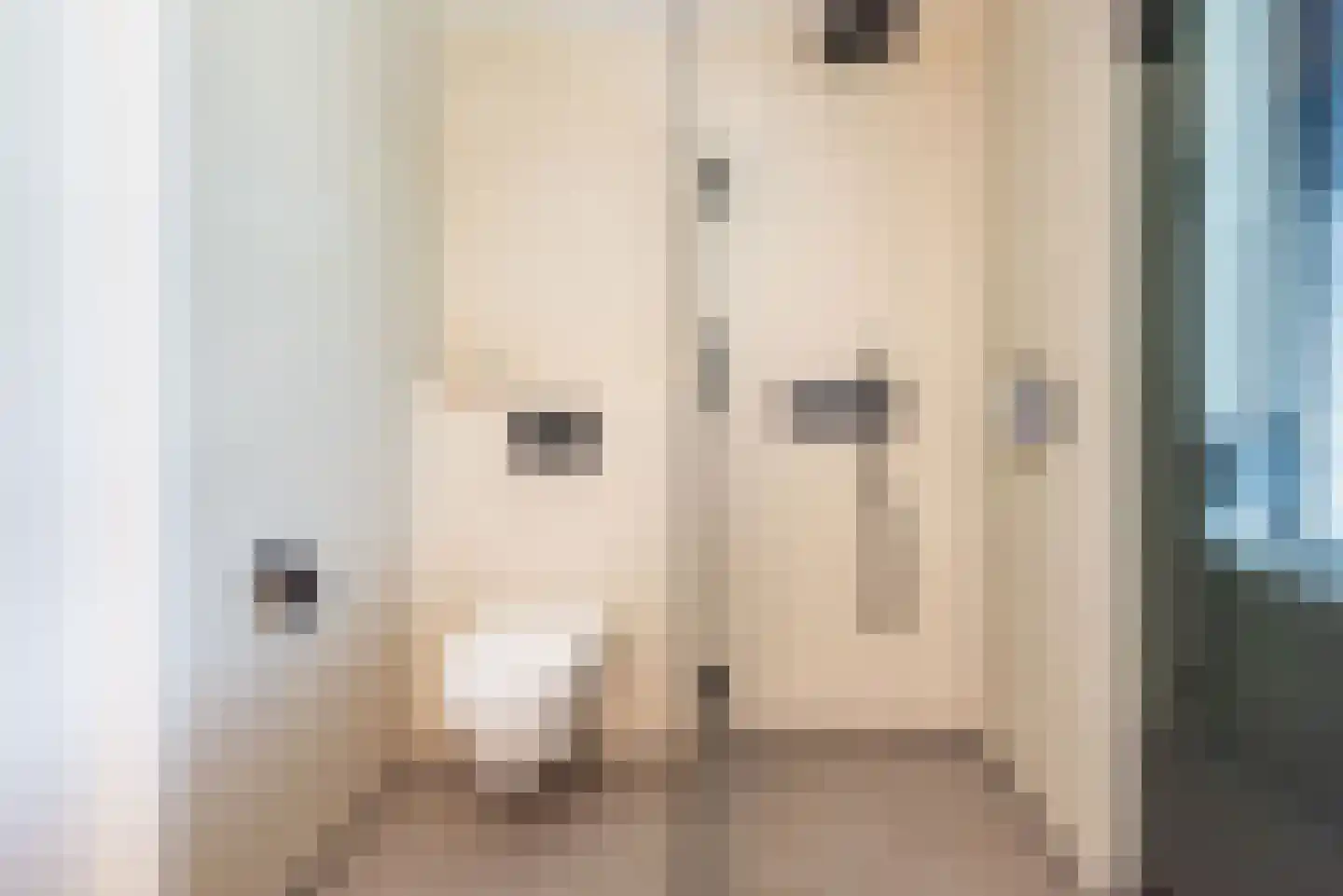 Vechtstraat 15 Ulft thumbnail 30