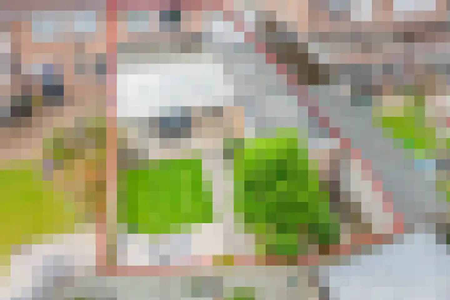Vechtstraat 15 Ulft thumbnail 35
