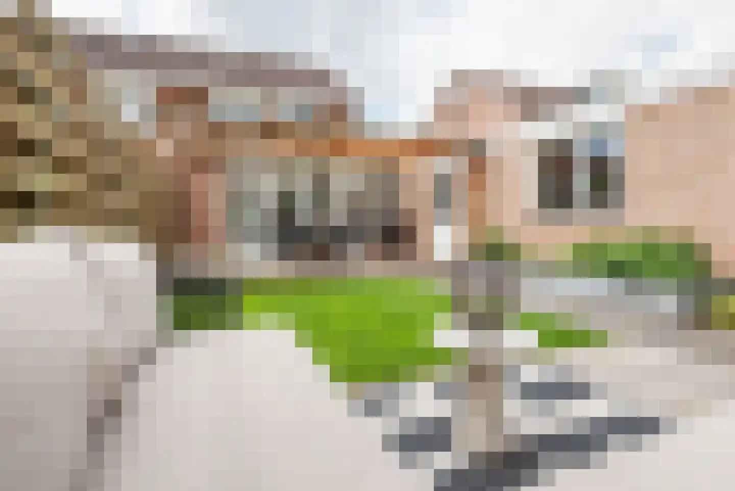 Vechtstraat 15 Ulft thumbnail 38