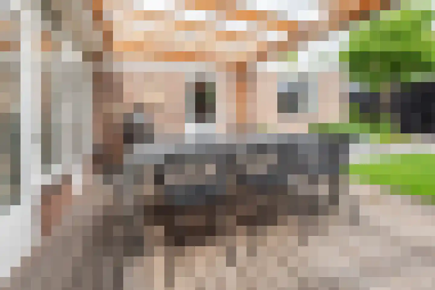 Vechtstraat 15 Ulft thumbnail 41