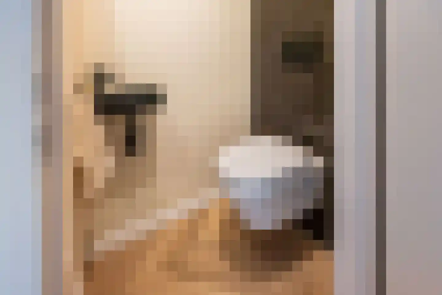 Vechtstraat 15 Ulft thumbnail 9