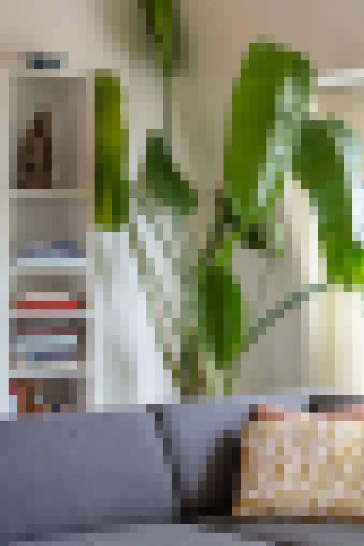 Vechtstraat 16 A Zwolle thumbnail 12