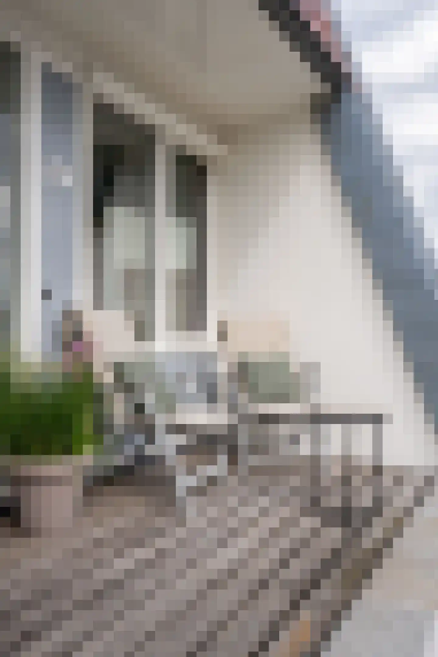 Vechtstraat 16 A Zwolle thumbnail 4