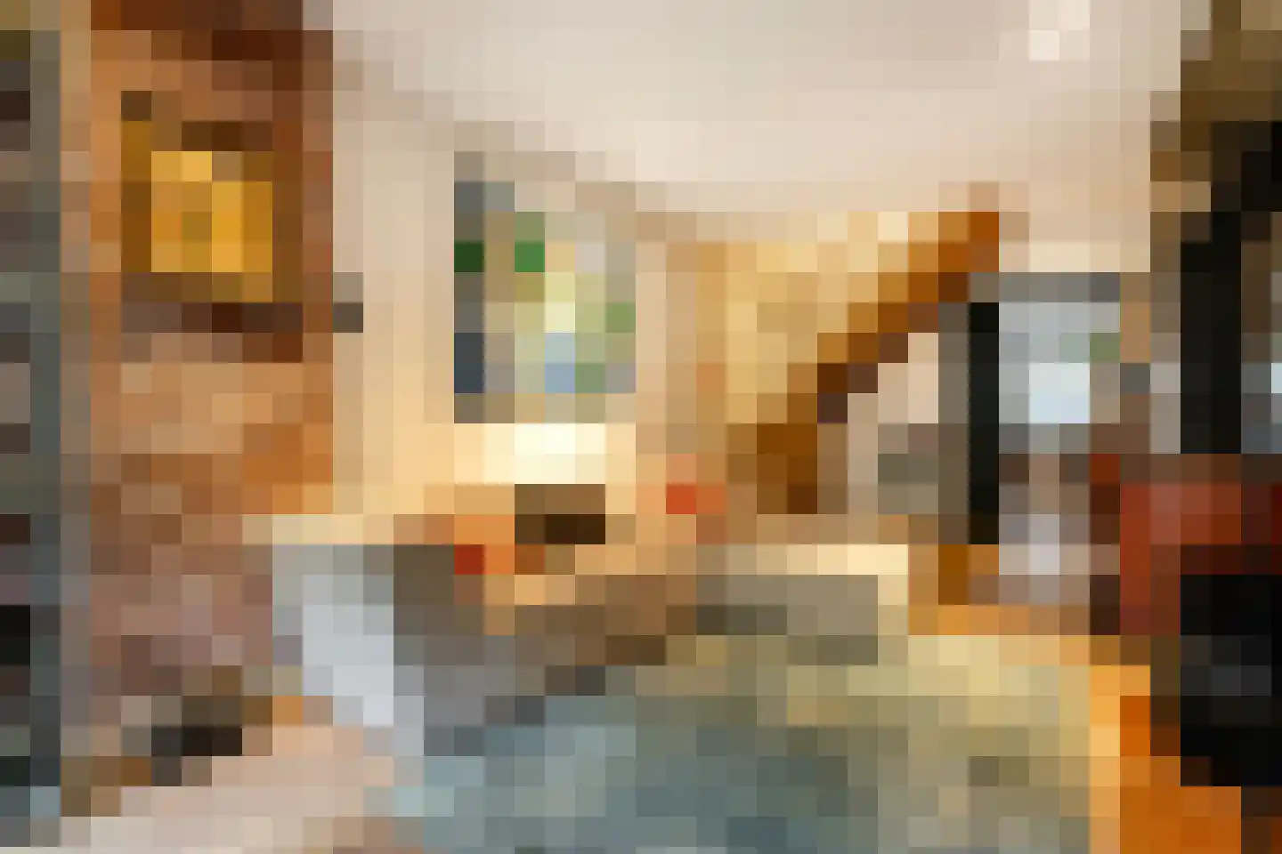 Vechtstraat 164 H Amsterdam thumbnail 13