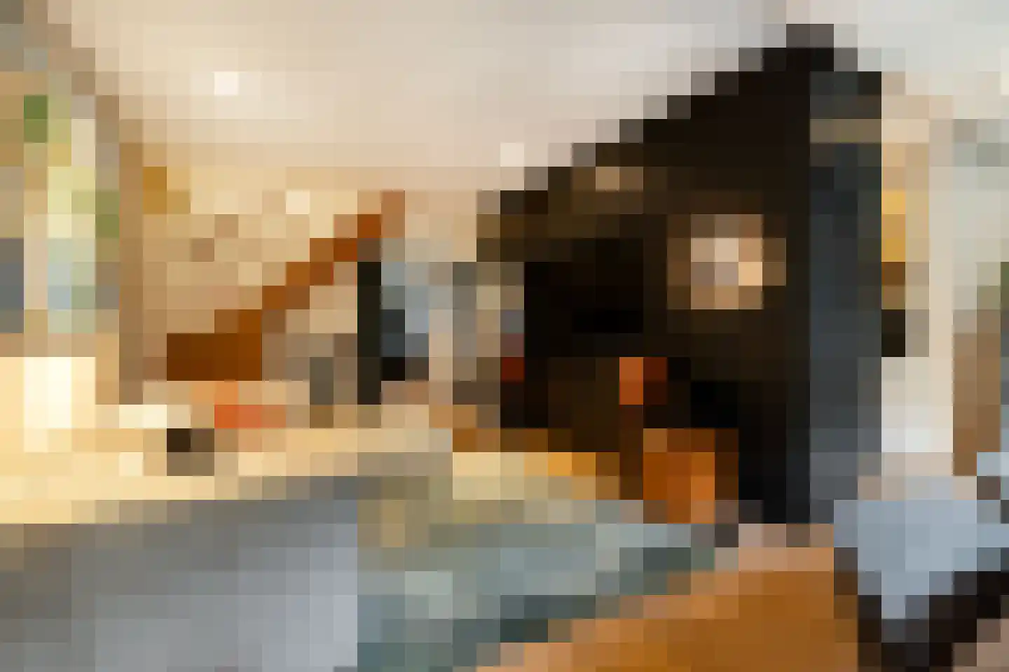 Vechtstraat 164 H Amsterdam thumbnail 14