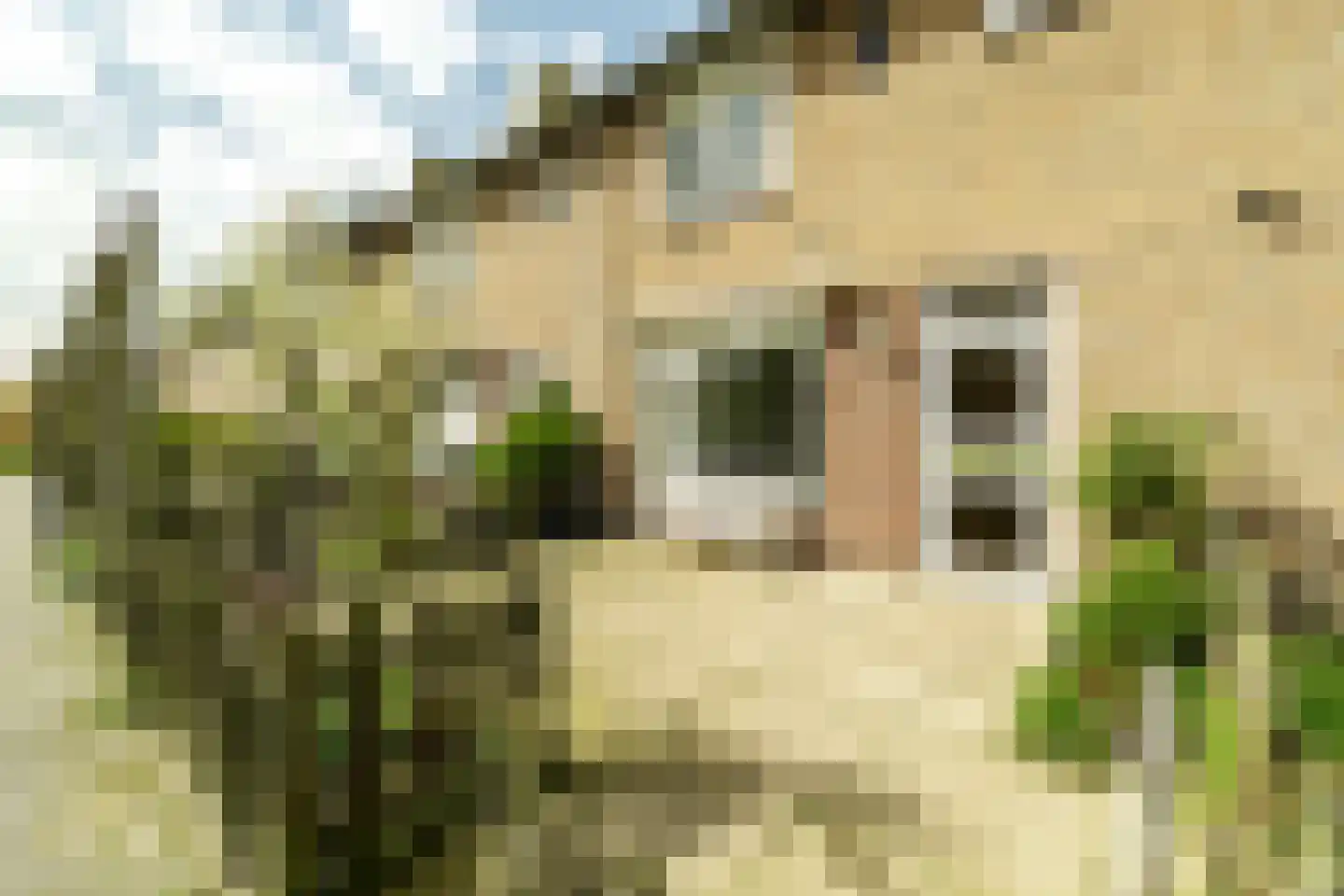 Vechtstraat 21 Beverwijk thumbnail 27