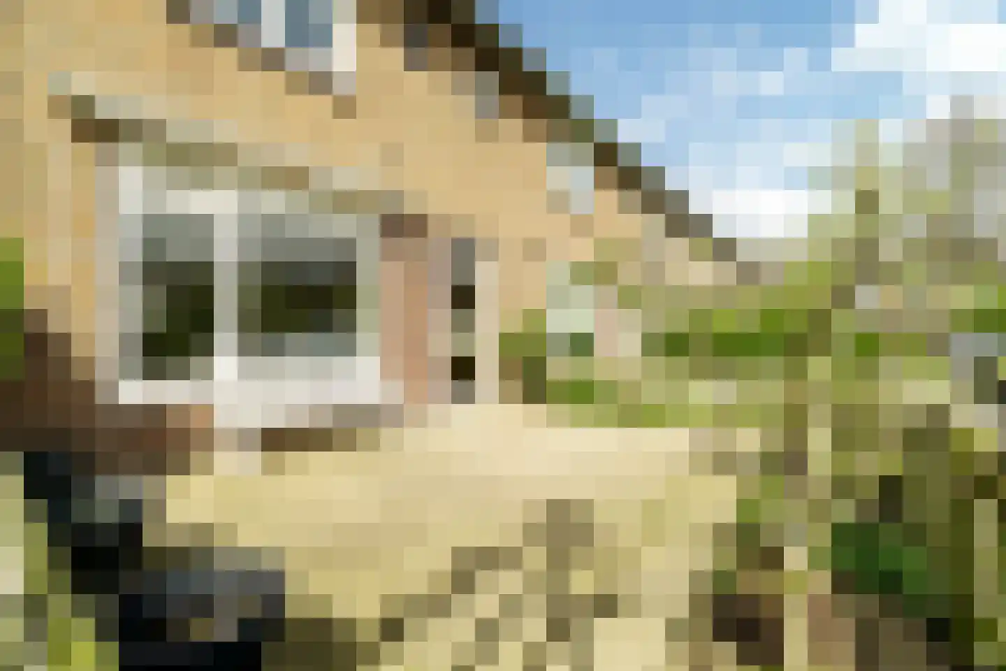 Vechtstraat 21 Beverwijk thumbnail 28