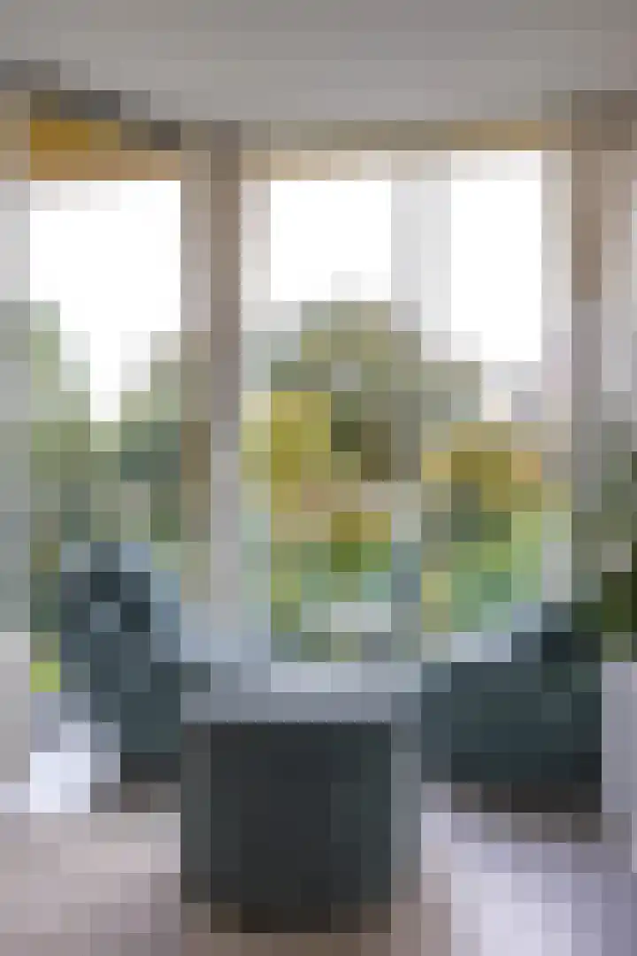 Vechtstraat 226 Groningen thumbnail 16