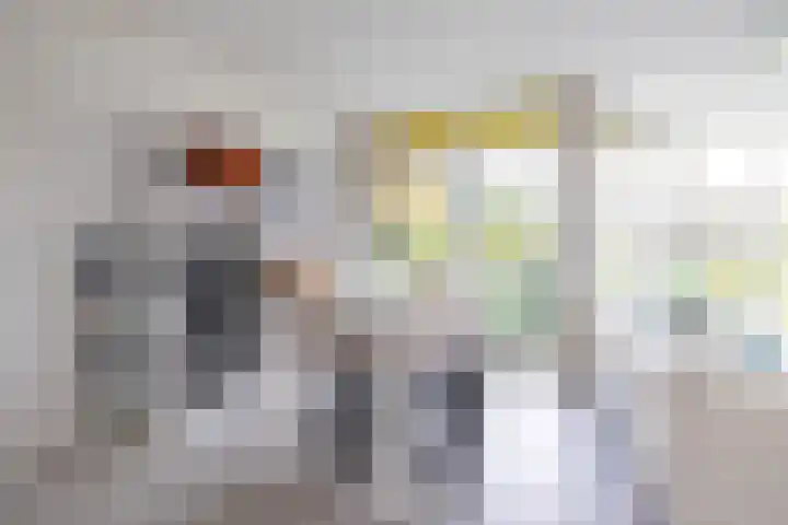 Vechtstraat 226 Groningen thumbnail 23