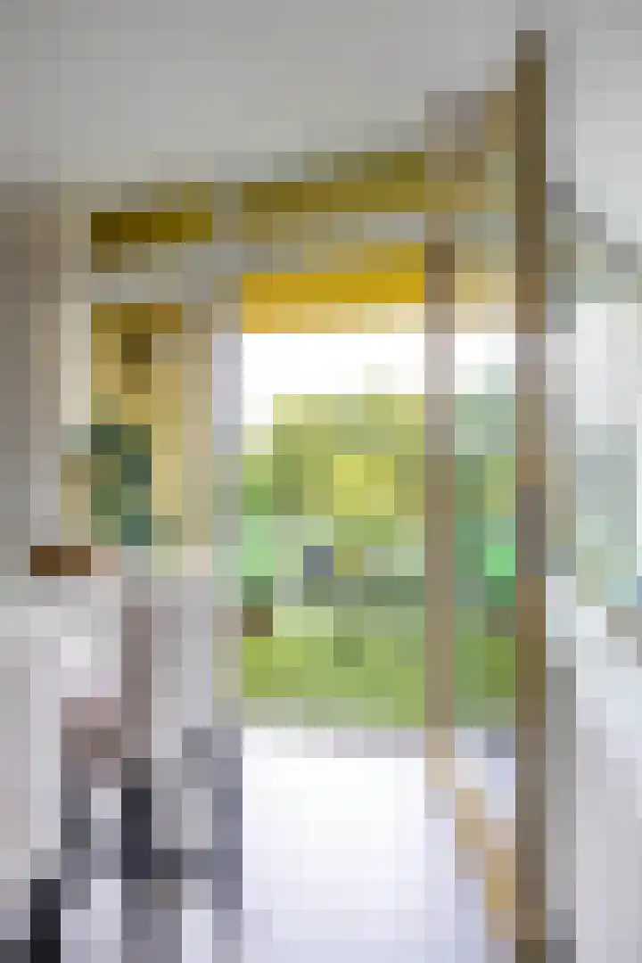 Vechtstraat 226 Groningen thumbnail 24
