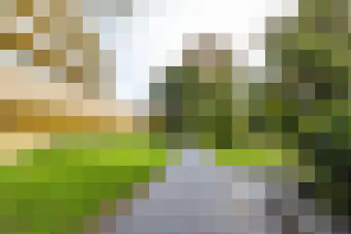 Vechtstraat 226 Groningen thumbnail 48