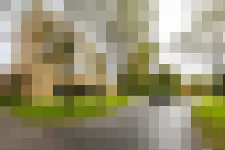 Vechtstraat 226 Groningen thumbnail 51