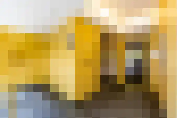 Vechtstraat 226 Groningen thumbnail 8