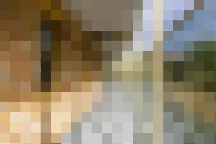 Vechtstraat 226 Groningen thumbnail 9