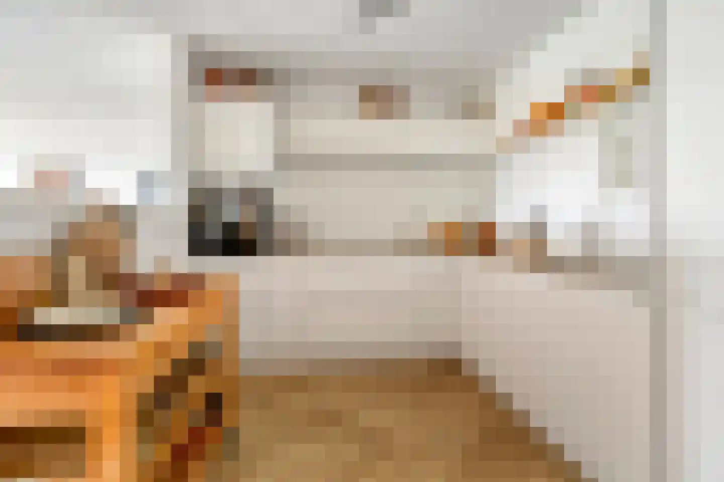Vechtstraat 290 Groningen thumbnail 23