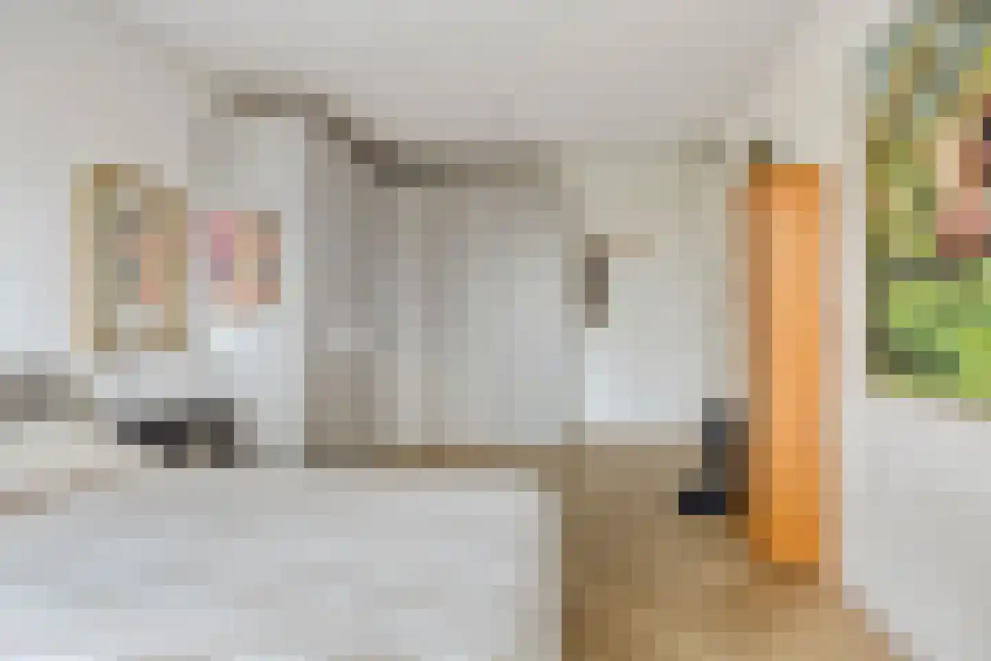 Vechtstraat 290 Groningen thumbnail 29