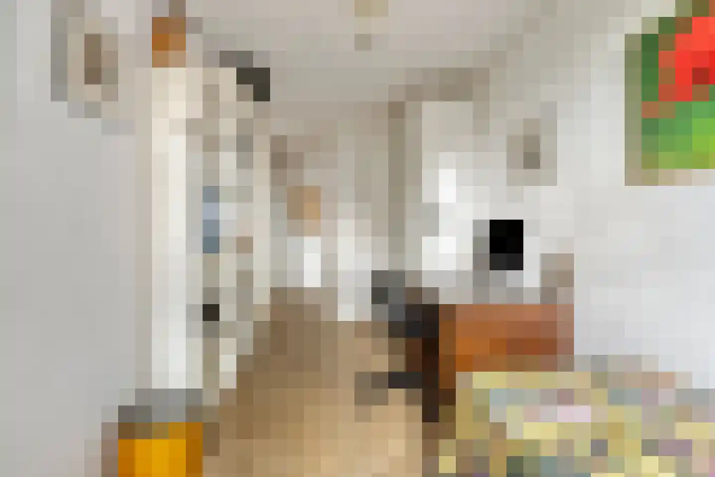 Vechtstraat 290 Groningen thumbnail 31