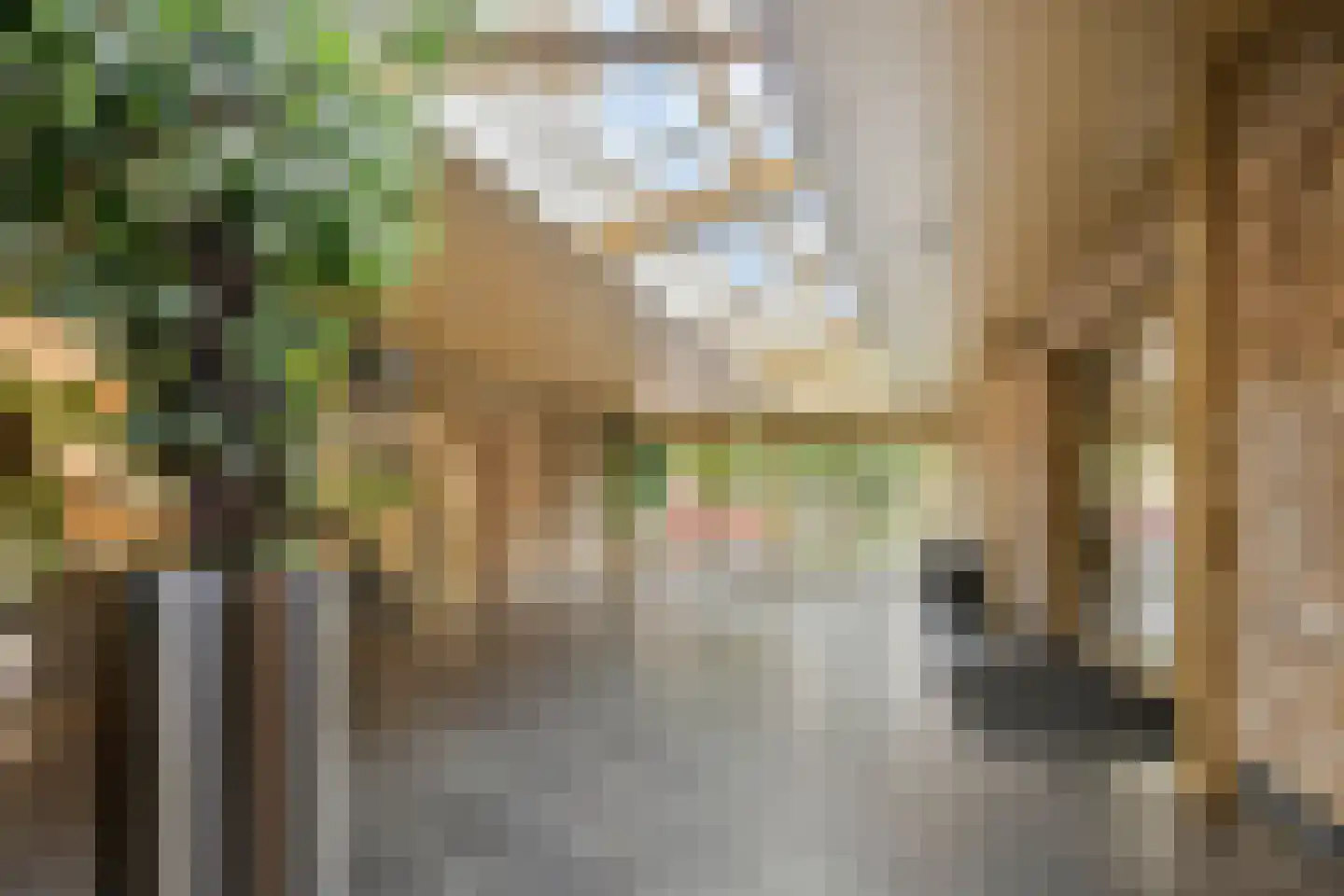 Vechtstraat 290 Groningen thumbnail 6