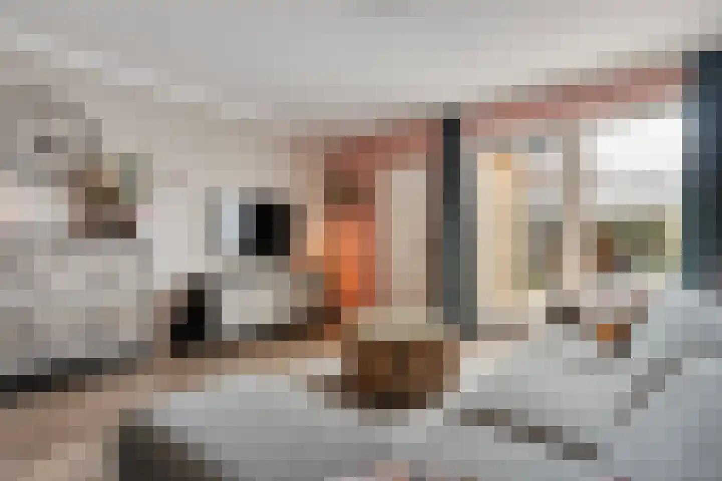Vechtstraat 3 Enschede thumbnail 17