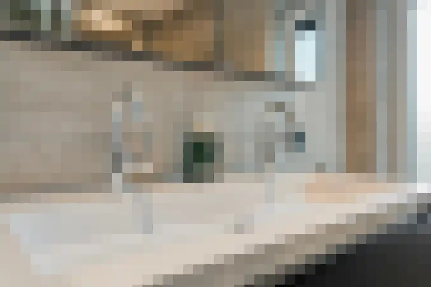 Vechtstraat 3 Enschede thumbnail 30