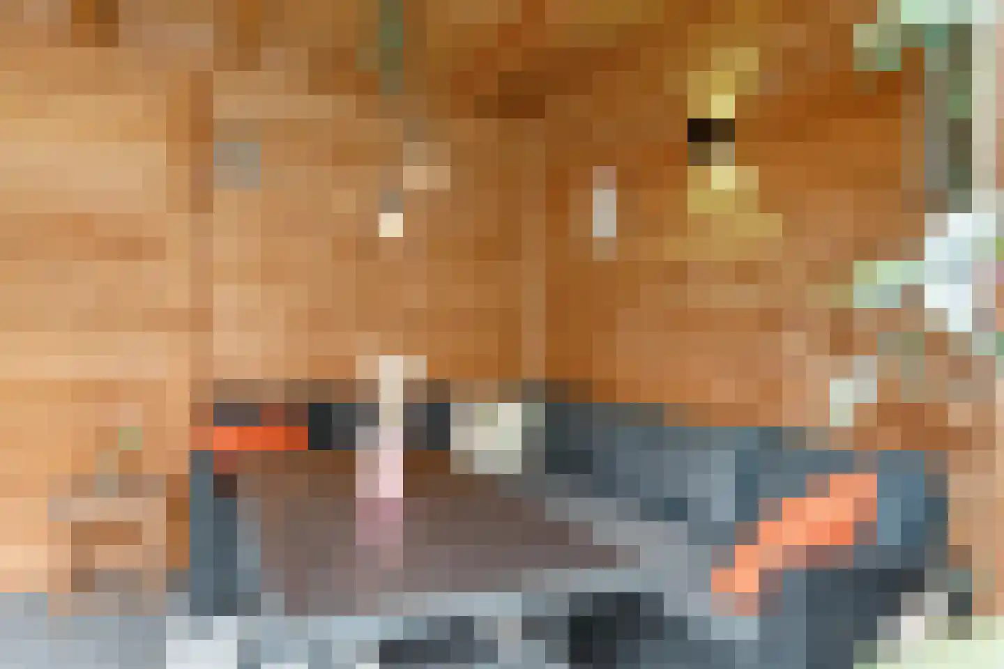Vechtstraat 3 Enschede thumbnail 43