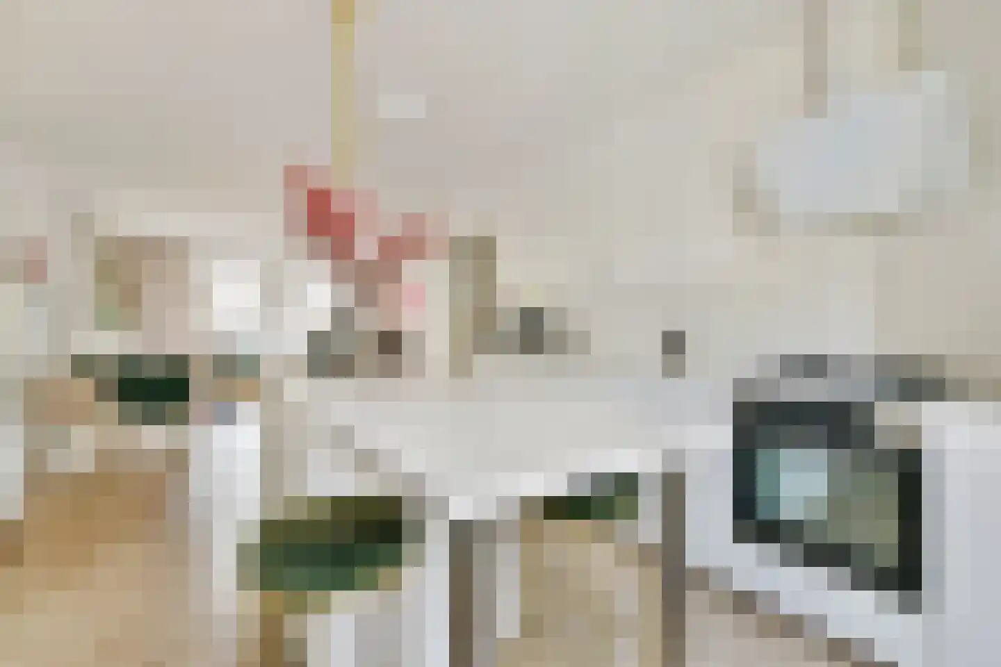 Vechtstraat 32 2 Amsterdam thumbnail 14