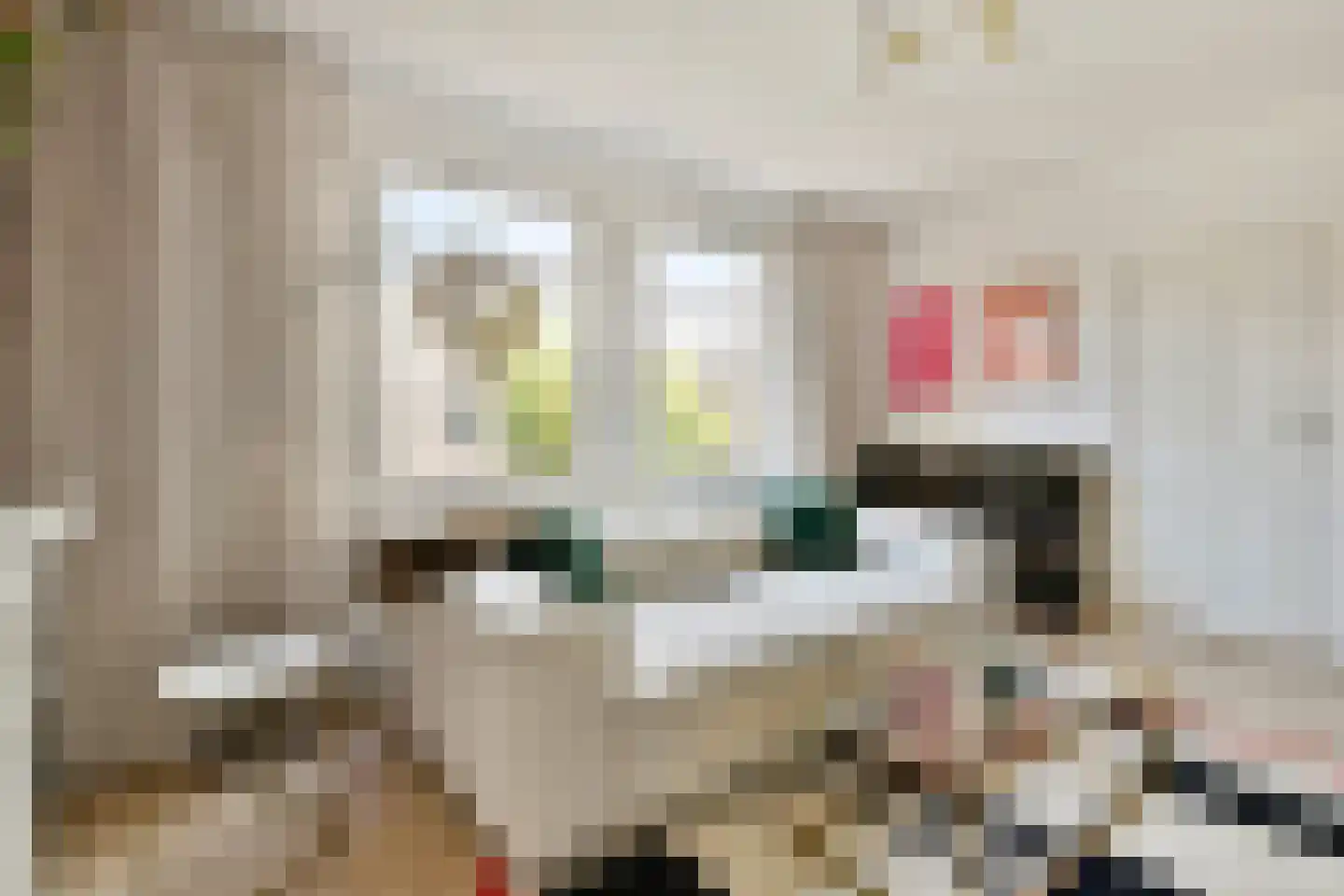 Vechtstraat 32 2 Amsterdam thumbnail 8