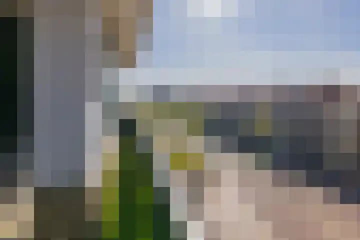Vechtstraat 32 IJmuiden thumbnail 21