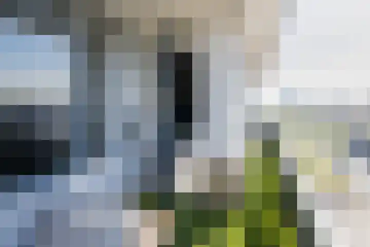 Vechtstraat 32 IJmuiden thumbnail 4