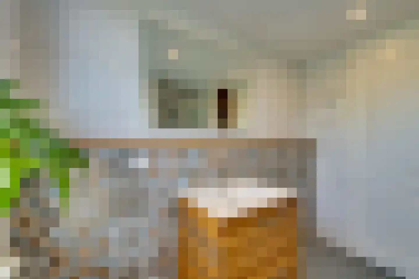 Vechtstraat 33 Purmerend thumbnail 45