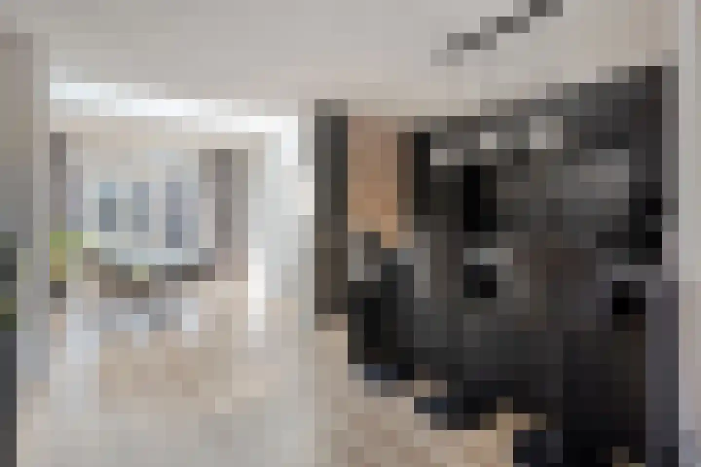 Vechtstraat 33 Terneuzen thumbnail 4