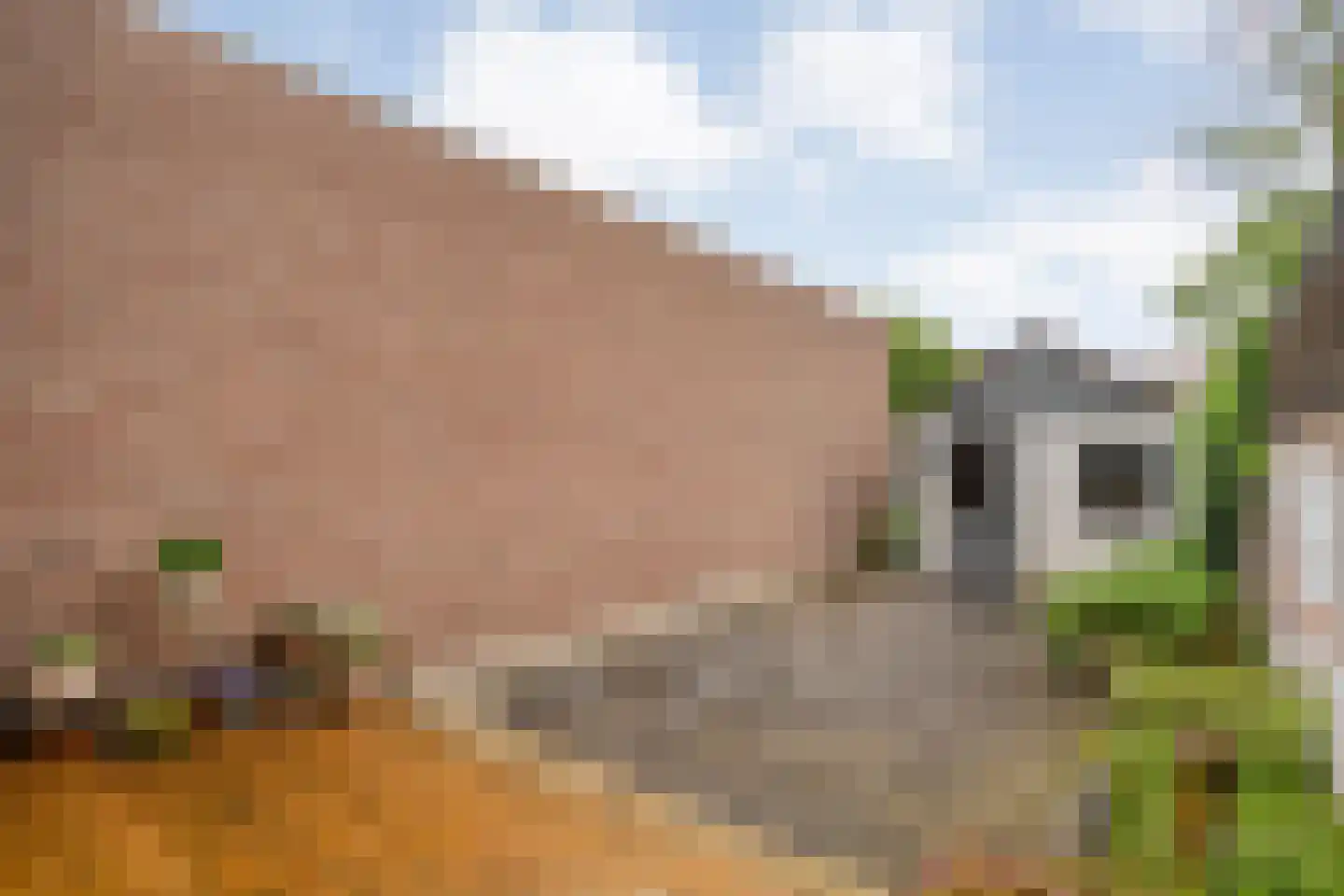 Vechtstraat 37 Zwolle thumbnail 20