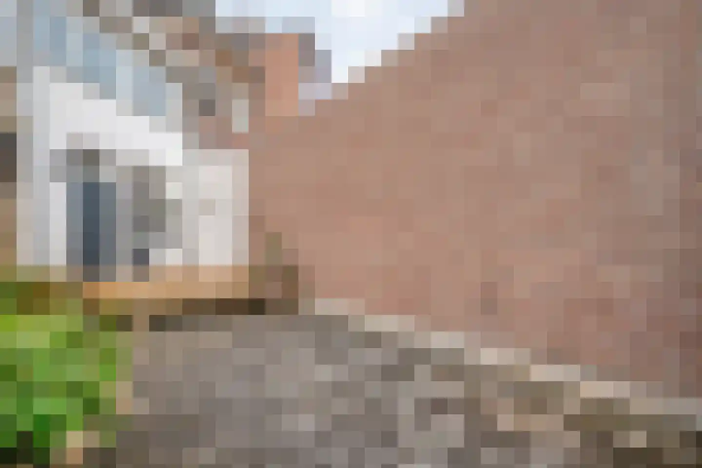 Vechtstraat 37 Zwolle thumbnail 23