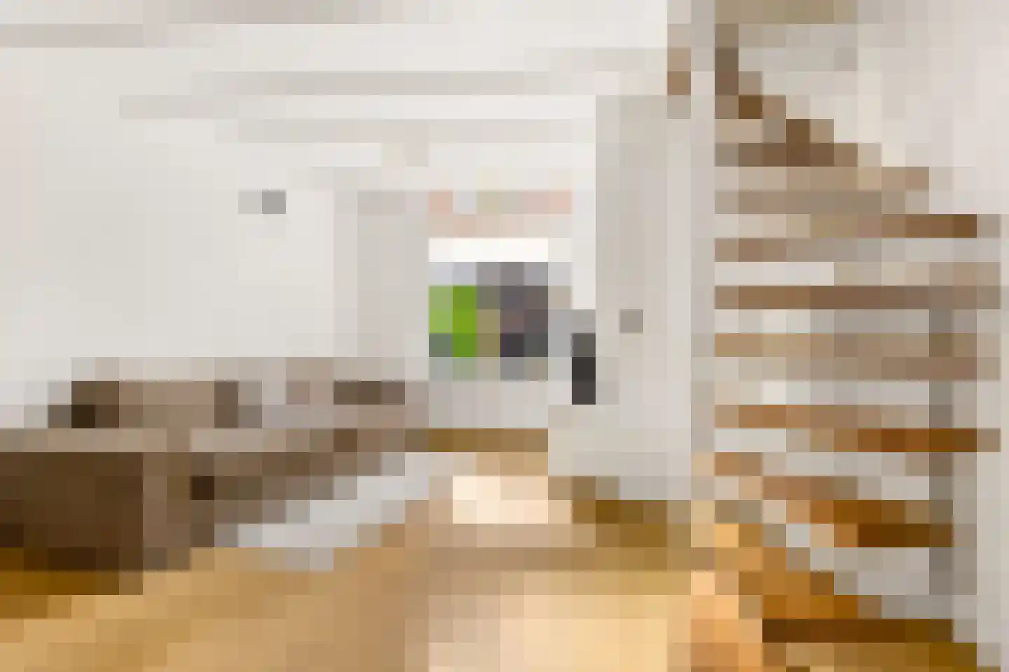 Vechtstraat 51 Zwolle thumbnail 10