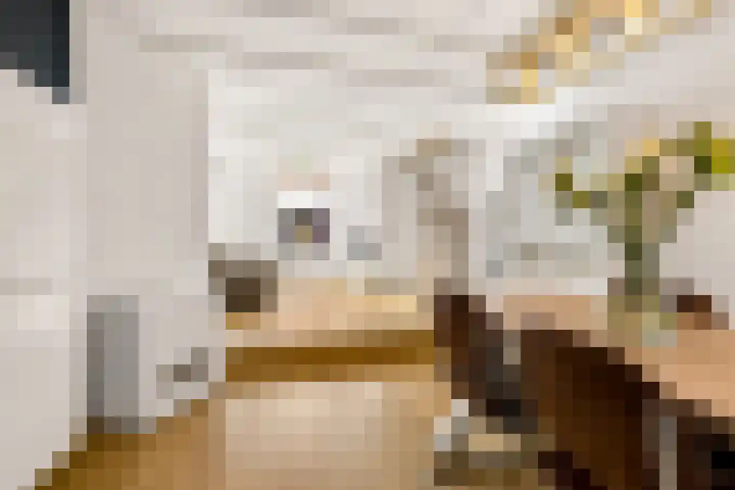 Vechtstraat 51 Zwolle thumbnail 12