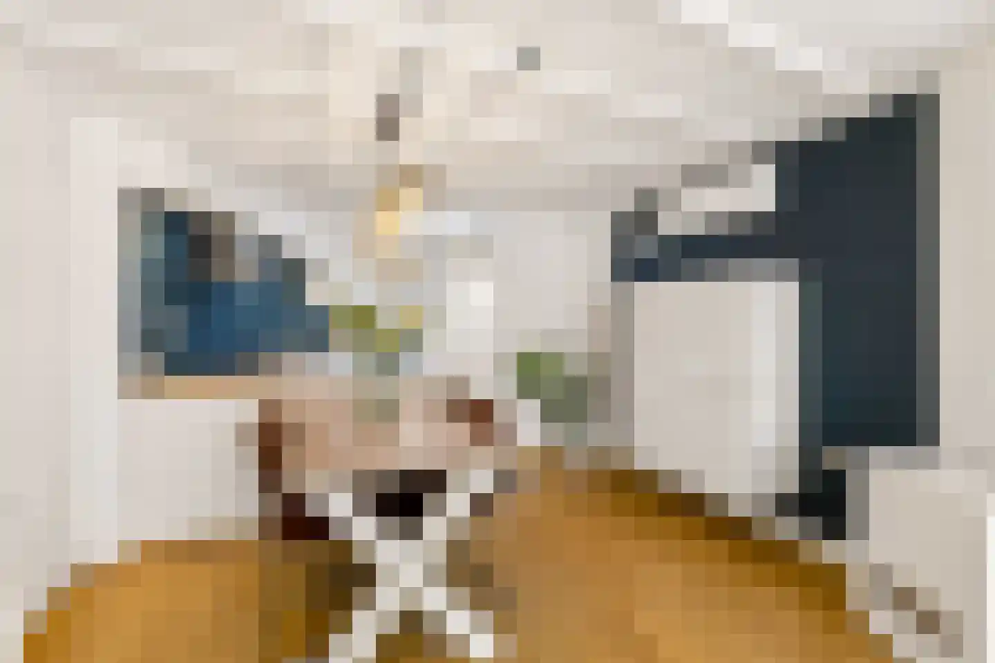 Vechtstraat 51 Zwolle thumbnail 14